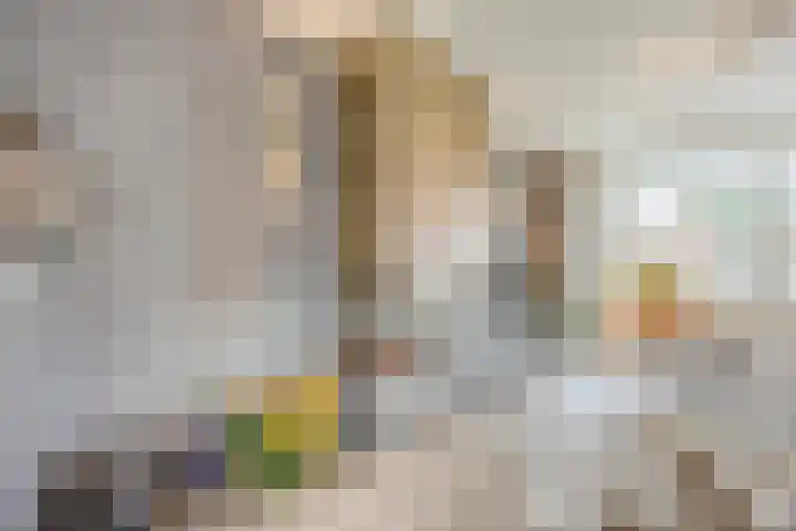 Burgem van Hultenstraat 24 Haps thumbnail 8
