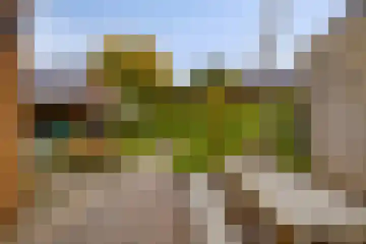 Burgem van Hultenstraat 30 Haps thumbnail 31