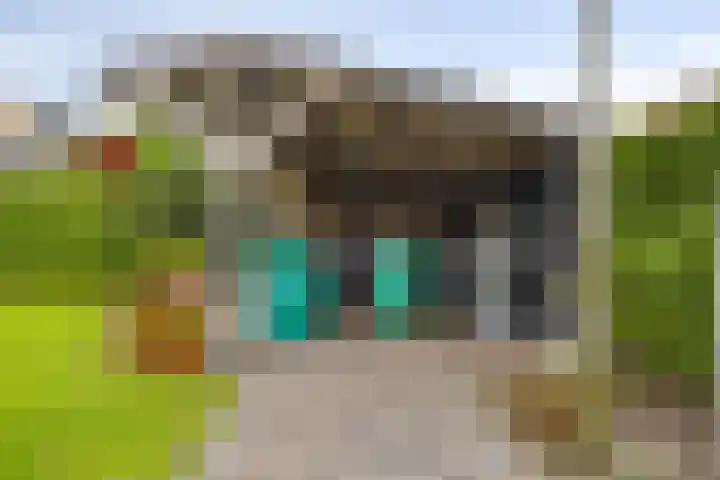Burgem van Hultenstraat 30 Haps thumbnail 35