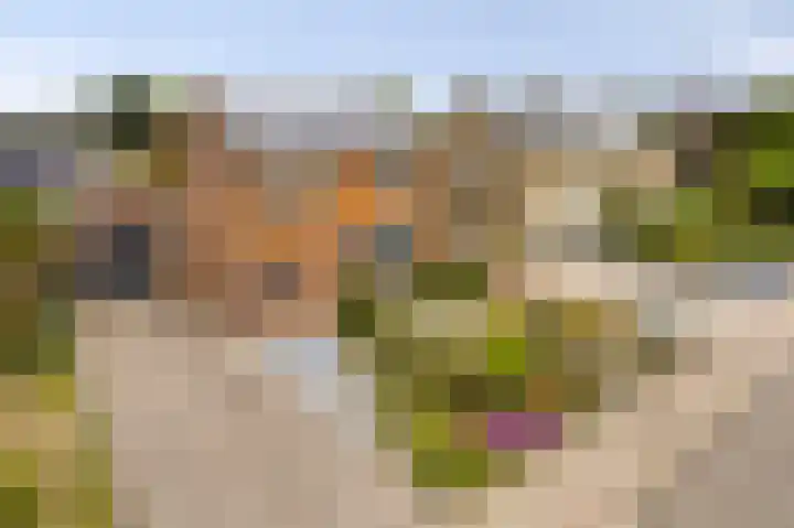Burgem van Hultenstraat 30 Haps thumbnail 38