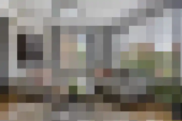 Burgem van Hultenstraat 30 Haps thumbnail 4