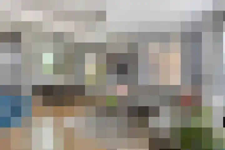 Burgem van Hultenstraat 30 Haps thumbnail 6
