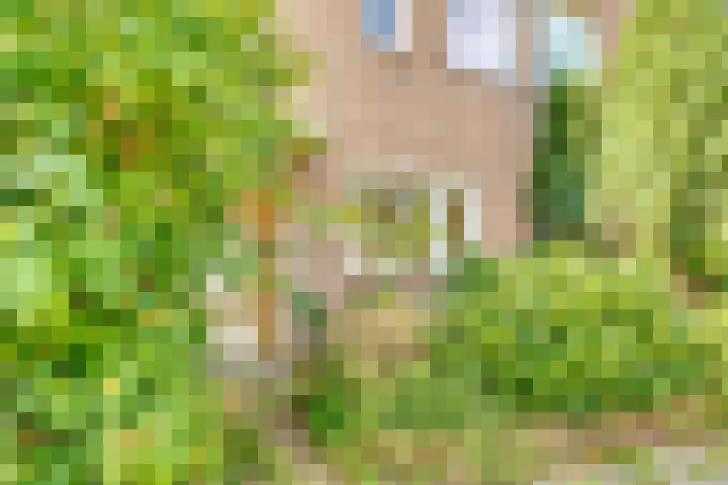 Burgemeester A. Colijnweg 35 Amstelveen thumbnail 32