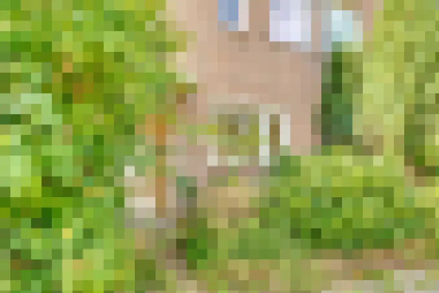 Burgemeester A. Colijnweg 35 Amstelveen thumbnail 32