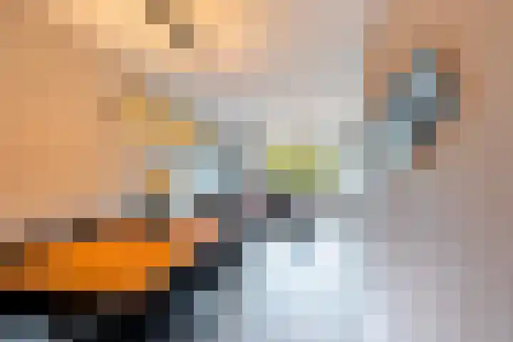 Burgemeester A. van Walsumlaan 203 Vlaardingen thumbnail 11