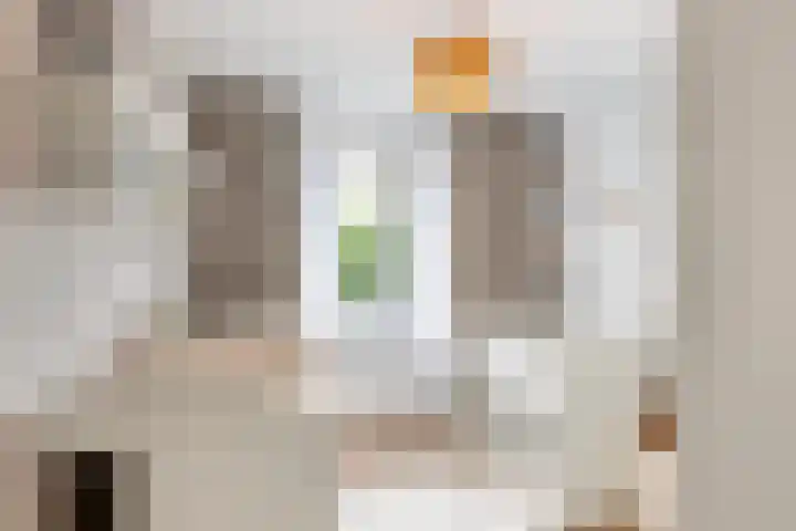 Burgemeester A. van Walsumlaan 203 Vlaardingen thumbnail 25