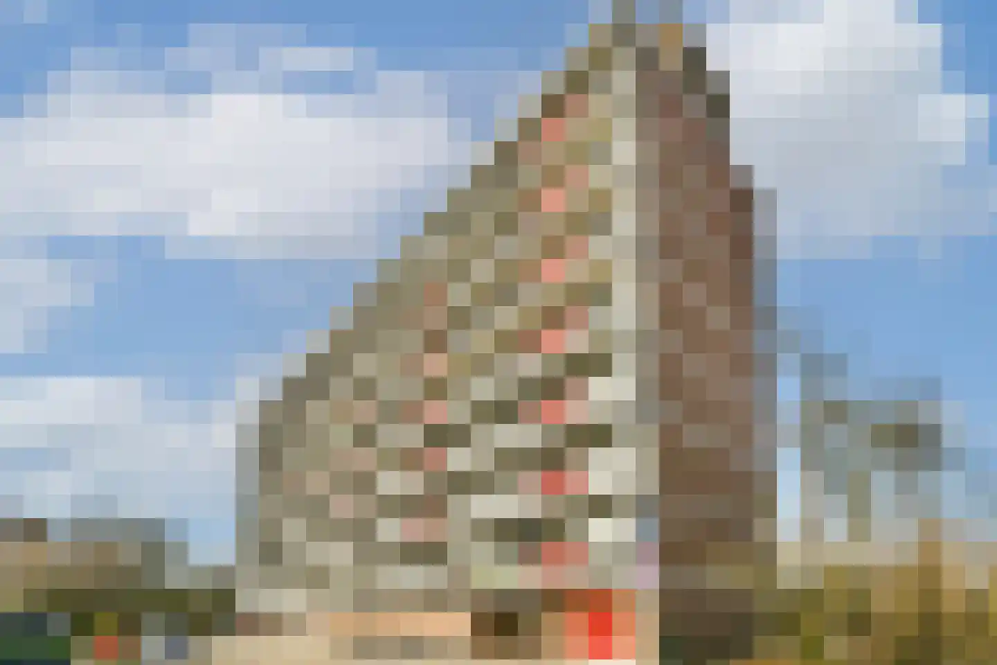 Burgemeester A. van Walsumlaan 439 in Vlaardingen