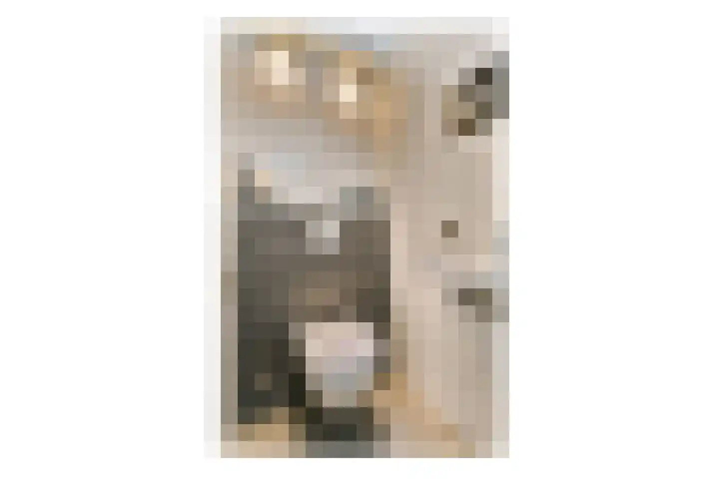 Burgemeester A. van Walsumlaan 439 Vlaardingen thumbnail 19