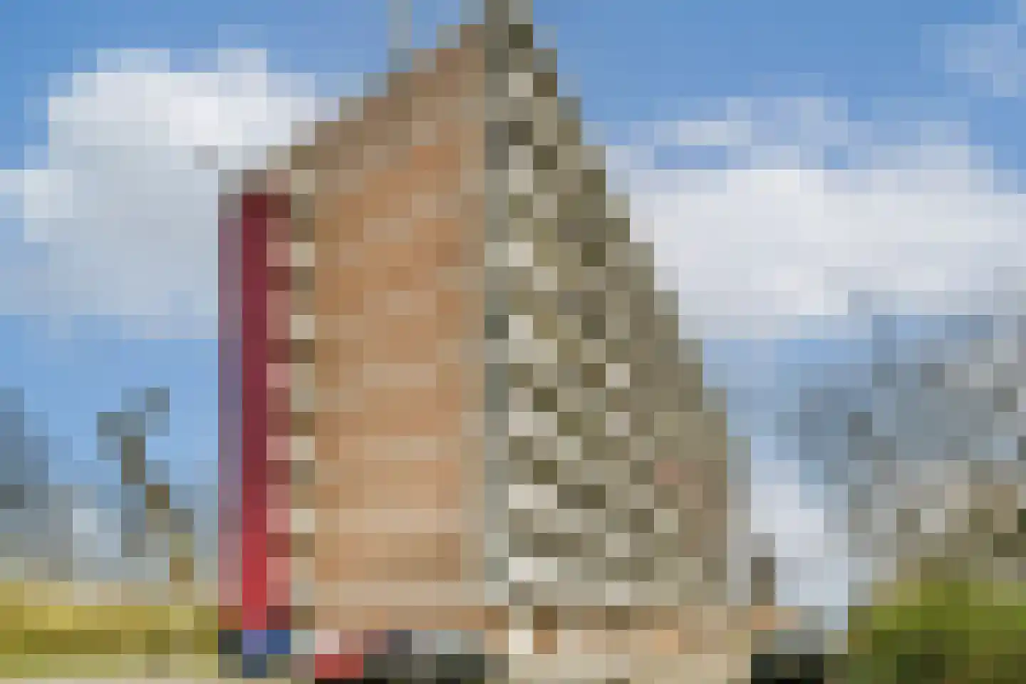 Burgemeester A. van Walsumlaan 439 Vlaardingen thumbnail 27
