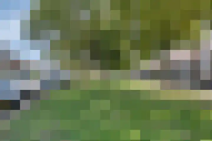 Burgemeester Aalberslaan 132 Krimpen aan den IJssel thumbnail 34