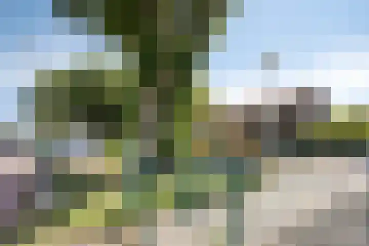 Burgemeester Aalberslaan 132 Krimpen aan den IJssel thumbnail 35