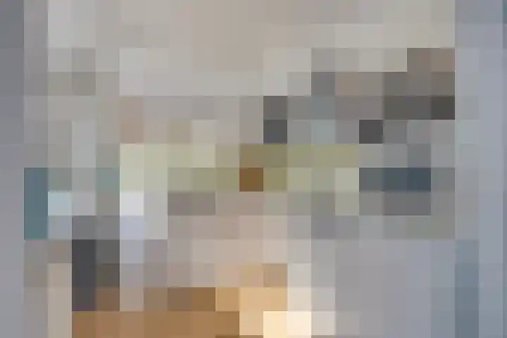 Burgemeester Aalberslaan 132 Krimpen aan den IJssel thumbnail 8