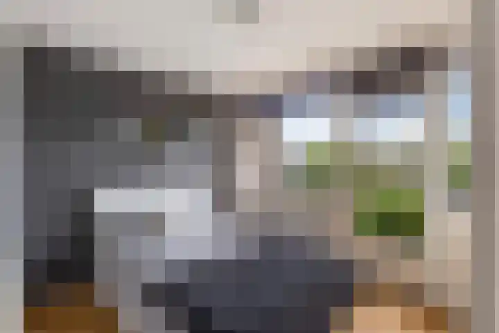 Burgemeester Aalberslaan 149 Krimpen aan den IJssel thumbnail 16
