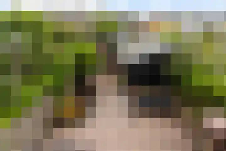 Burgemeester Aalberslaan 149 Krimpen aan den IJssel thumbnail 19