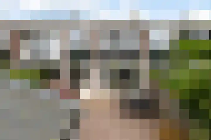 Burgemeester Aalberslaan 149 Krimpen aan den IJssel thumbnail 29