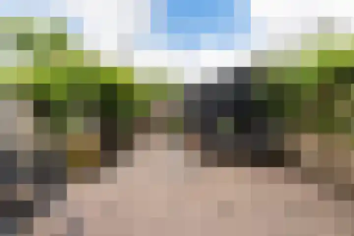 Burgemeester Aalberslaan 149 Krimpen aan den IJssel thumbnail 32