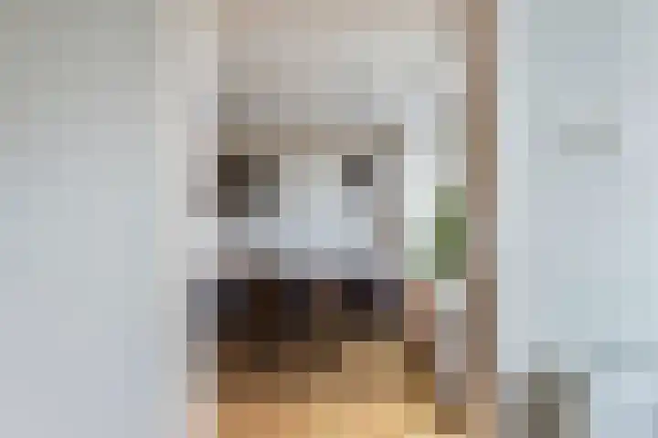 Burgemeester Aalberslaan 149 Krimpen aan den IJssel thumbnail 5
