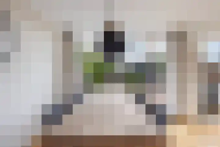 Burgemeester Aalberslaan 149 Krimpen aan den IJssel thumbnail 9