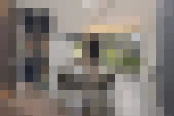 Burgemeester Aalberslaan 175 Krimpen aan den IJssel thumbnail 13