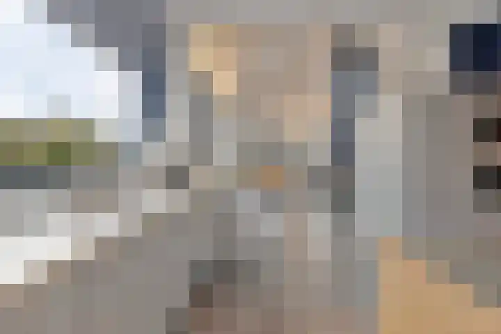 Burgemeester Aalberslaan 175 Krimpen aan den IJssel thumbnail 17