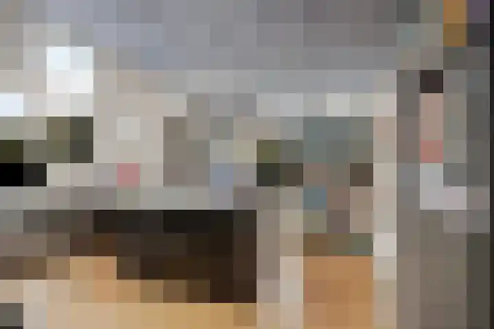 Burgemeester Aalberslaan 175 Krimpen aan den IJssel thumbnail 33