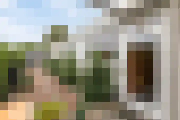 Burgemeester Aalberslaan 175 Krimpen aan den IJssel thumbnail 36