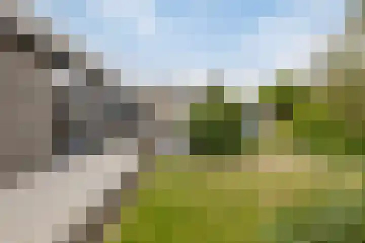 Burgemeester Aalberslaan 175 Krimpen aan den IJssel thumbnail 4