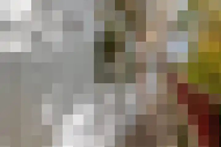 Burgemeester Aalberslaan 86 a Krimpen aan den IJssel thumbnail 8
