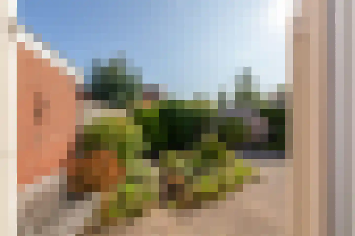 Burgemeester Adelaarstraat 9 Meliskerke thumbnail 22