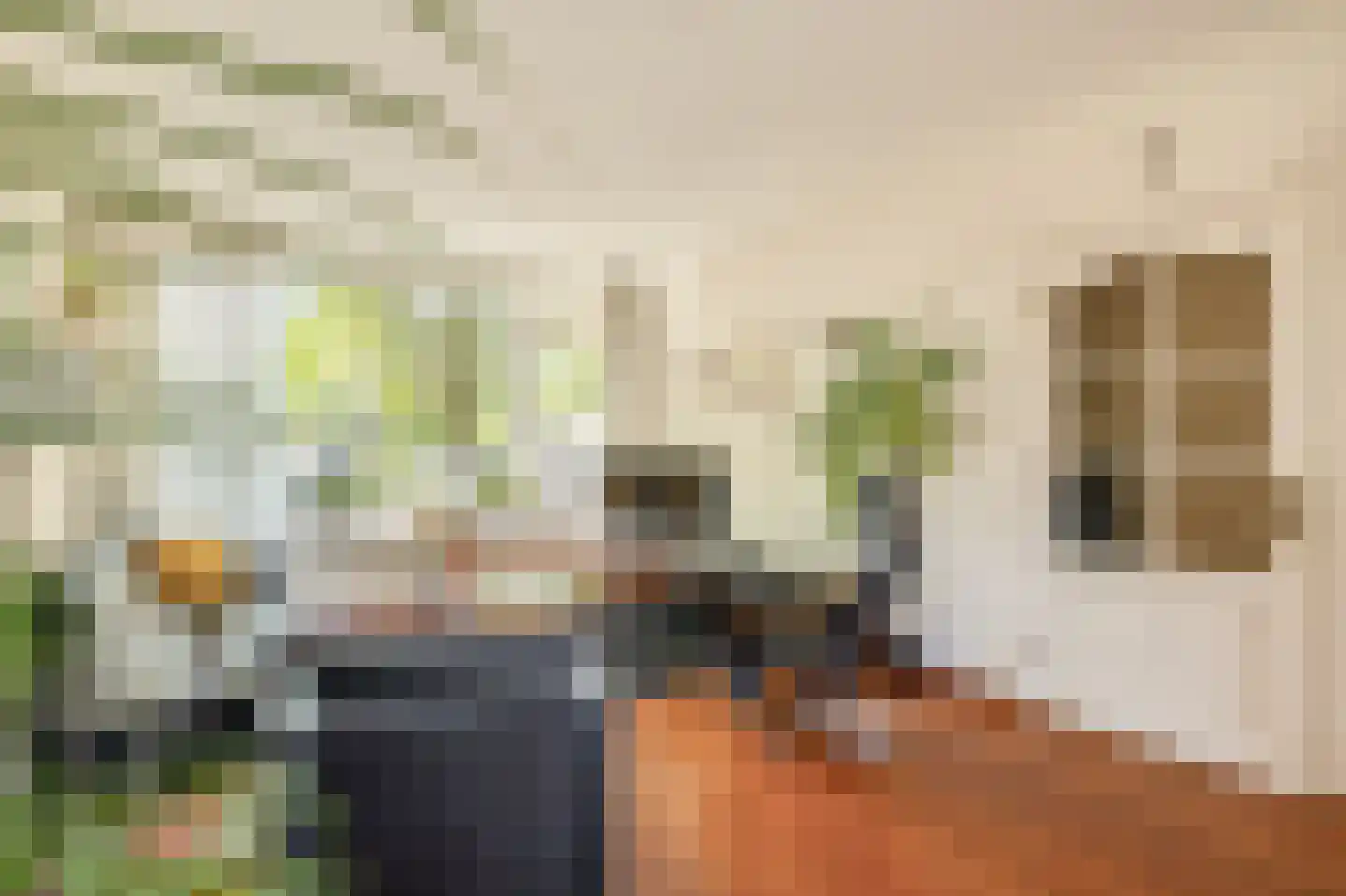 Burgemeester Albertiplein 23 Krommenie thumbnail 10