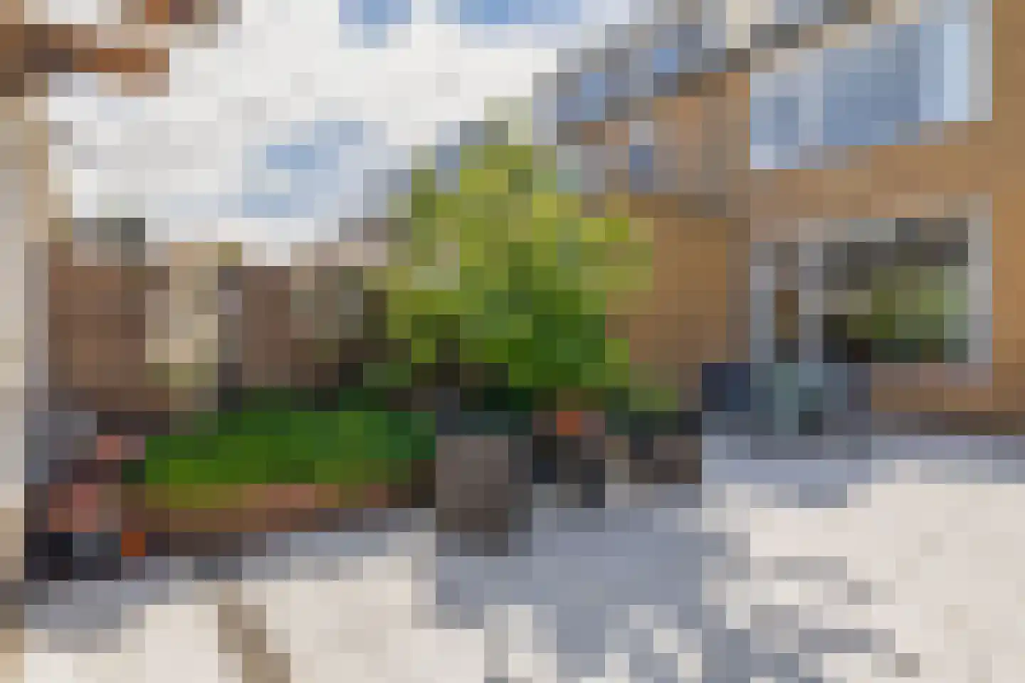 Burgemeester Albertiplein 23 Krommenie thumbnail 17