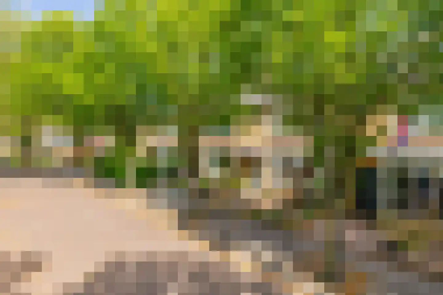 Burgemeester Albertiplein 23 Krommenie thumbnail 38