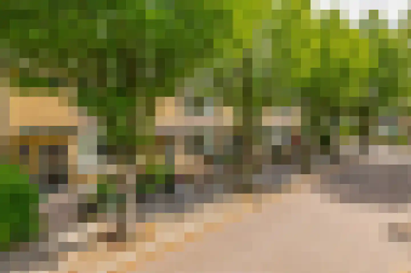 Burgemeester Albertiplein 23 Krommenie thumbnail 41