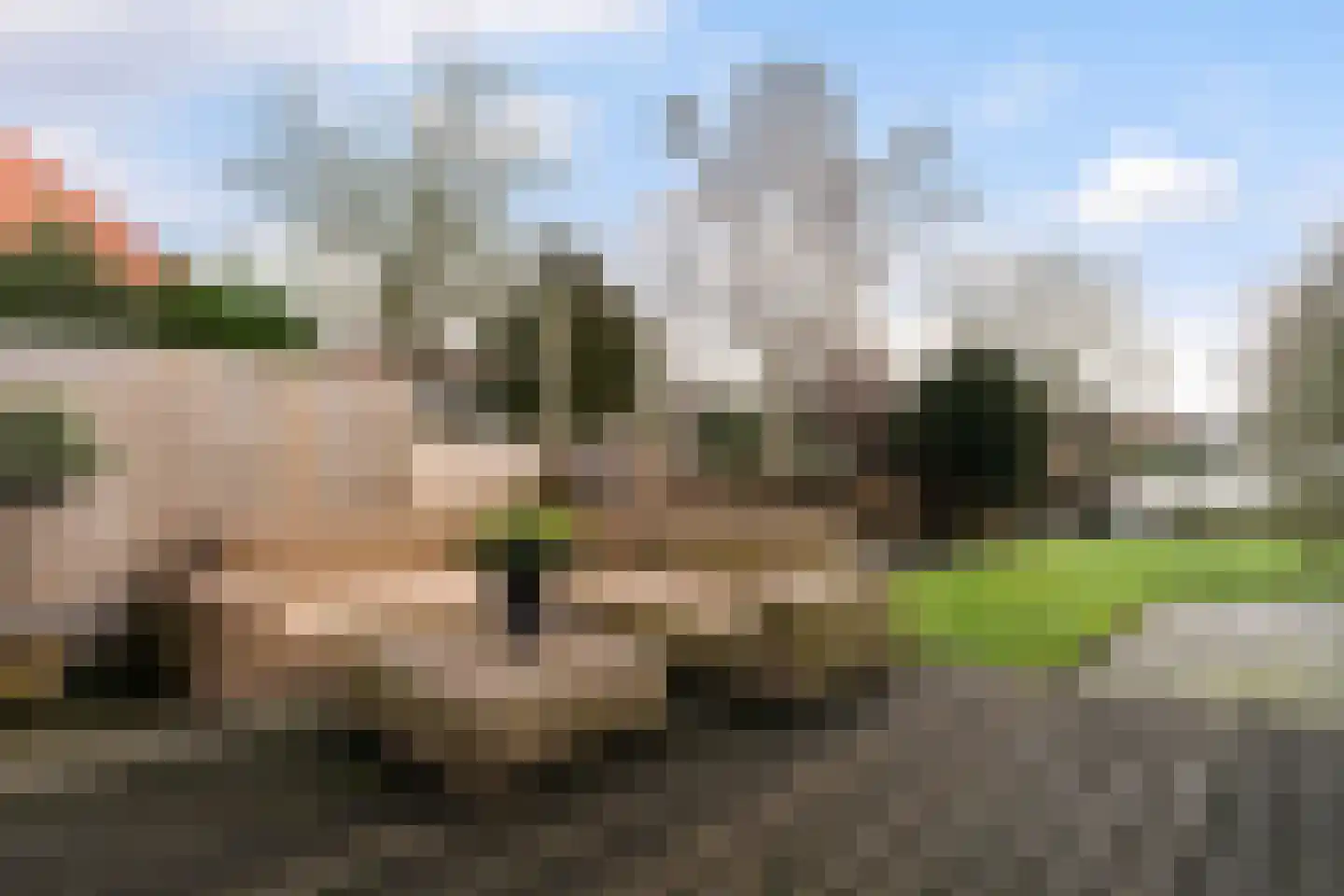Burgemeester Albertsstraat 18 Stavoren thumbnail 26