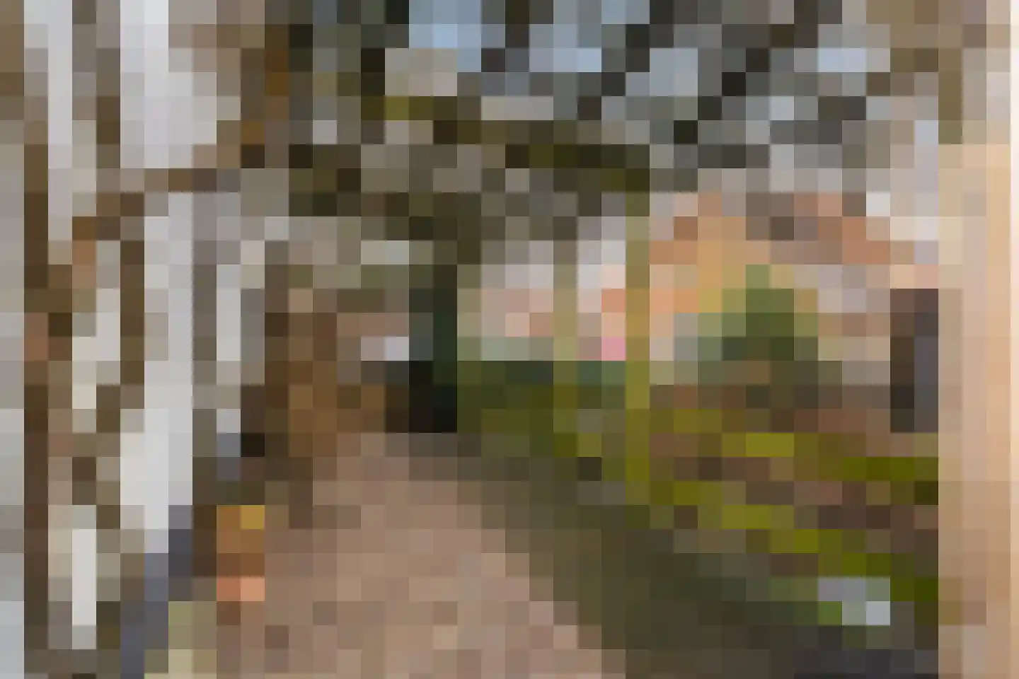 Burgemeester Albertsstraat 18 Stavoren thumbnail 29