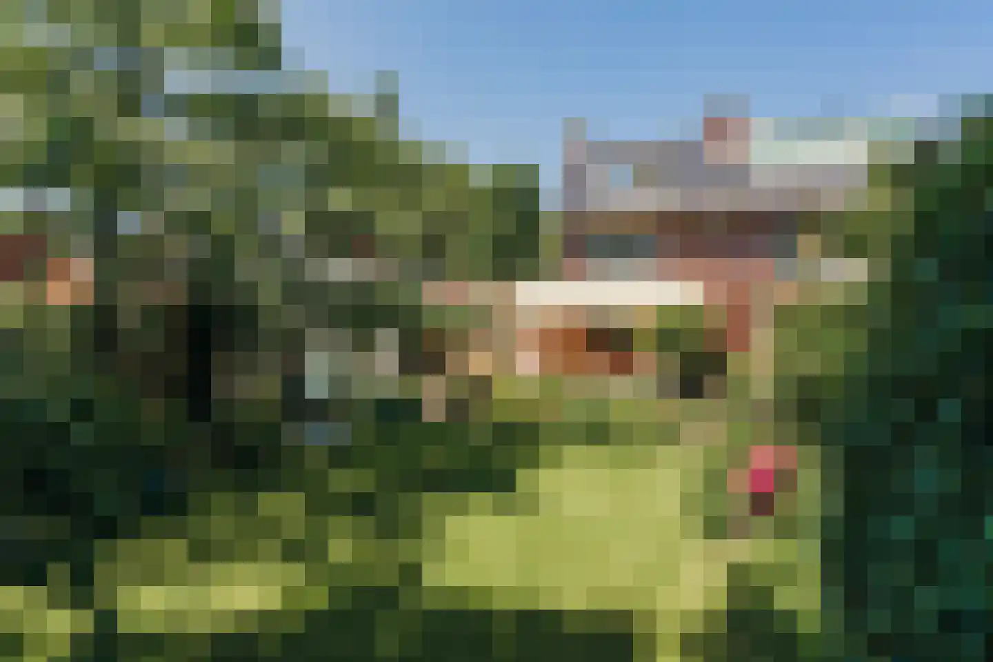 Burgemeester Amersfoordtlaan 74 Badhoevedorp thumbnail 22