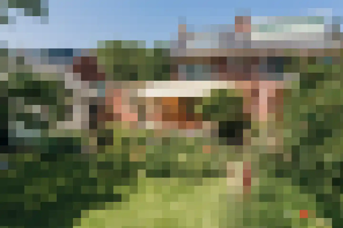 Burgemeester Amersfoordtlaan 74 Badhoevedorp thumbnail 23