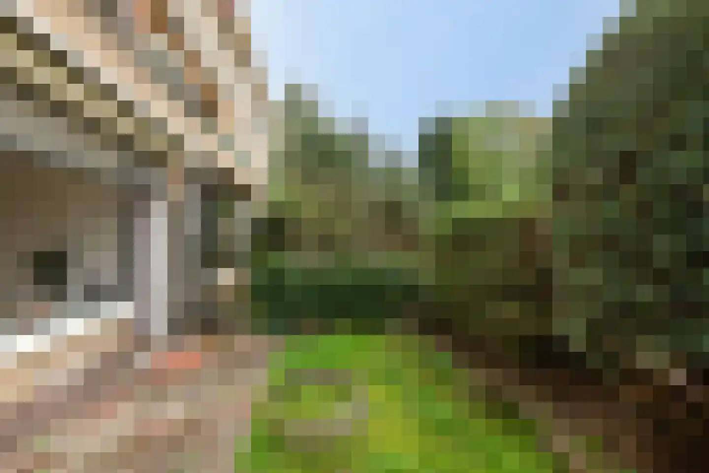 Burgemeester Andriessenstraat 14 Hilversum thumbnail 33