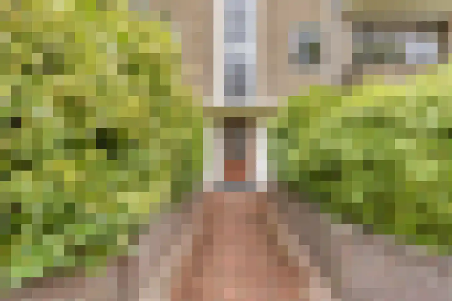 Burgemeester Andriessenstraat 30 Hilversum thumbnail 5