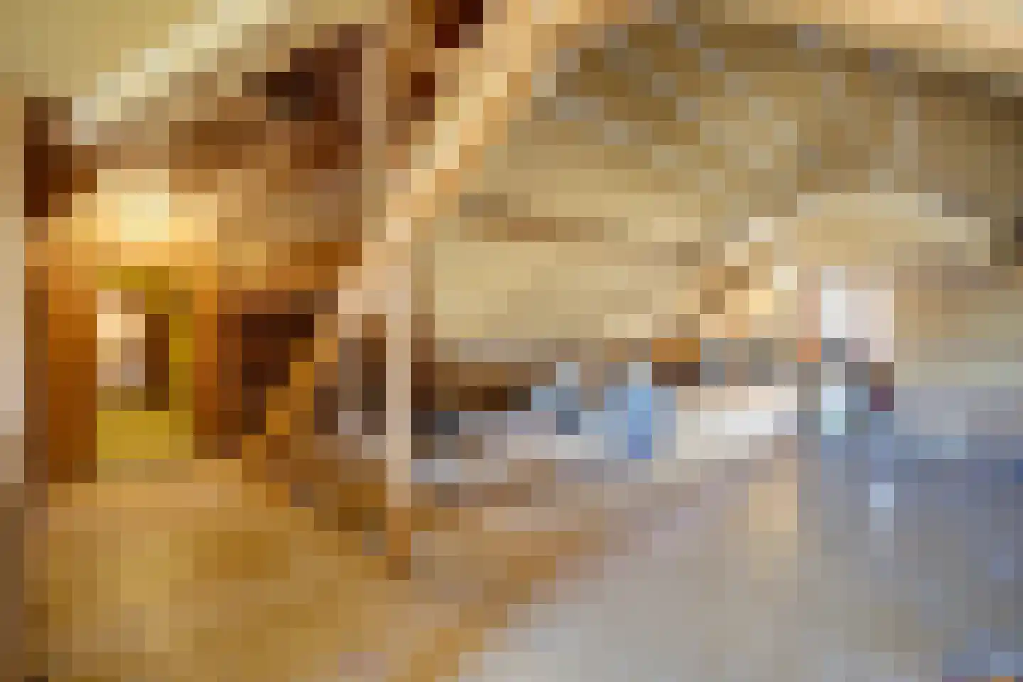 Burgemeester Andriessenstraat 33 Ovezande thumbnail 23