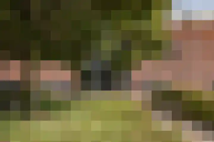 Burgemeester Ankerplein 18 Nieuwe Niedorp thumbnail 26