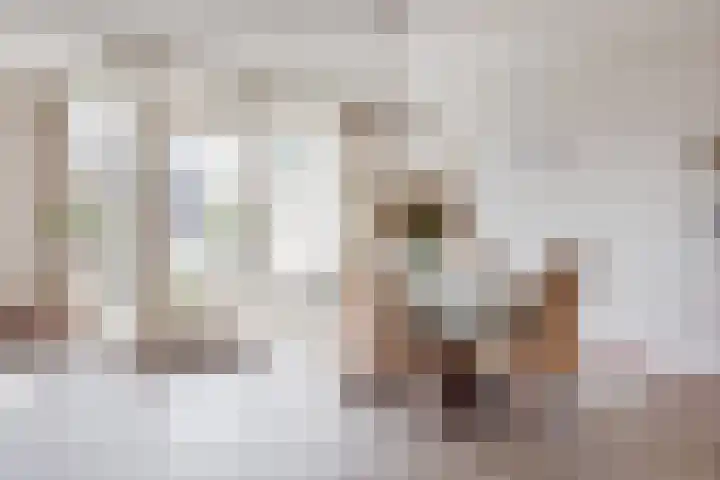 Burgemeester Ankerplein 18 Nieuwe Niedorp thumbnail 4