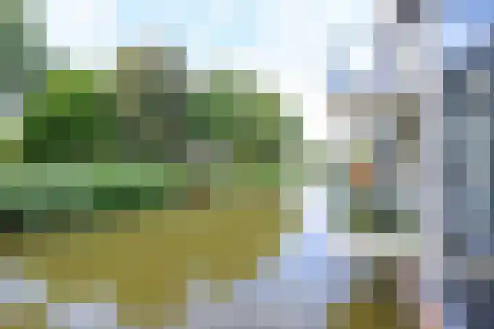Burgemeester Ankerplein 3 Nieuwe Niedorp thumbnail 17