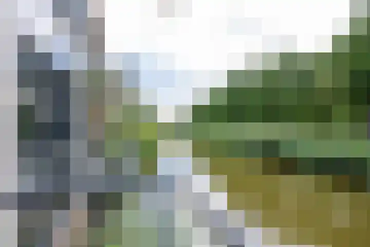 Burgemeester Ankerplein 3 Nieuwe Niedorp thumbnail 18