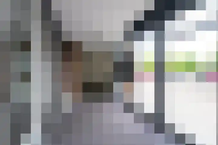 Burgemeester Ankerplein 3 Nieuwe Niedorp thumbnail 33