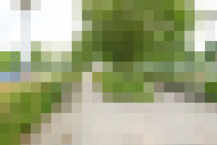 Burgemeester Ankerplein 3 Nieuwe Niedorp thumbnail 35