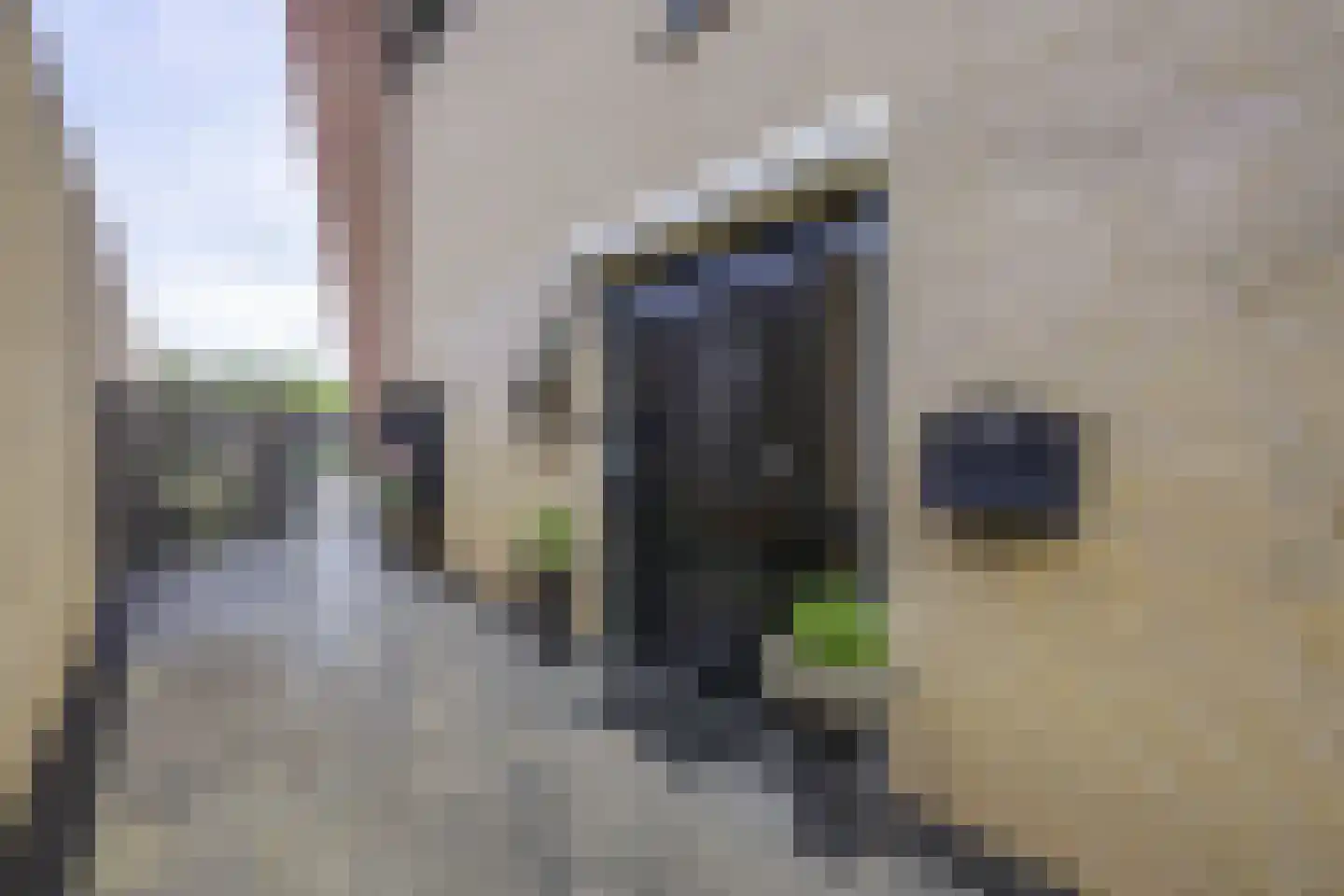 Burgemeester Antonissenstraat 56 Rucphen thumbnail 6
