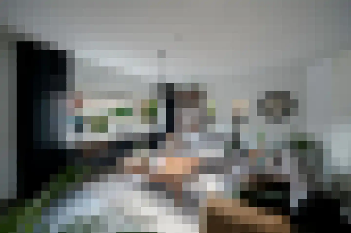 Burgemeester Antonissenstraat 56 Rucphen thumbnail 8