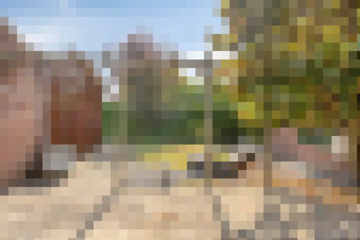 Burgemeester Aquariusstraat 34 Haelen thumbnail 28