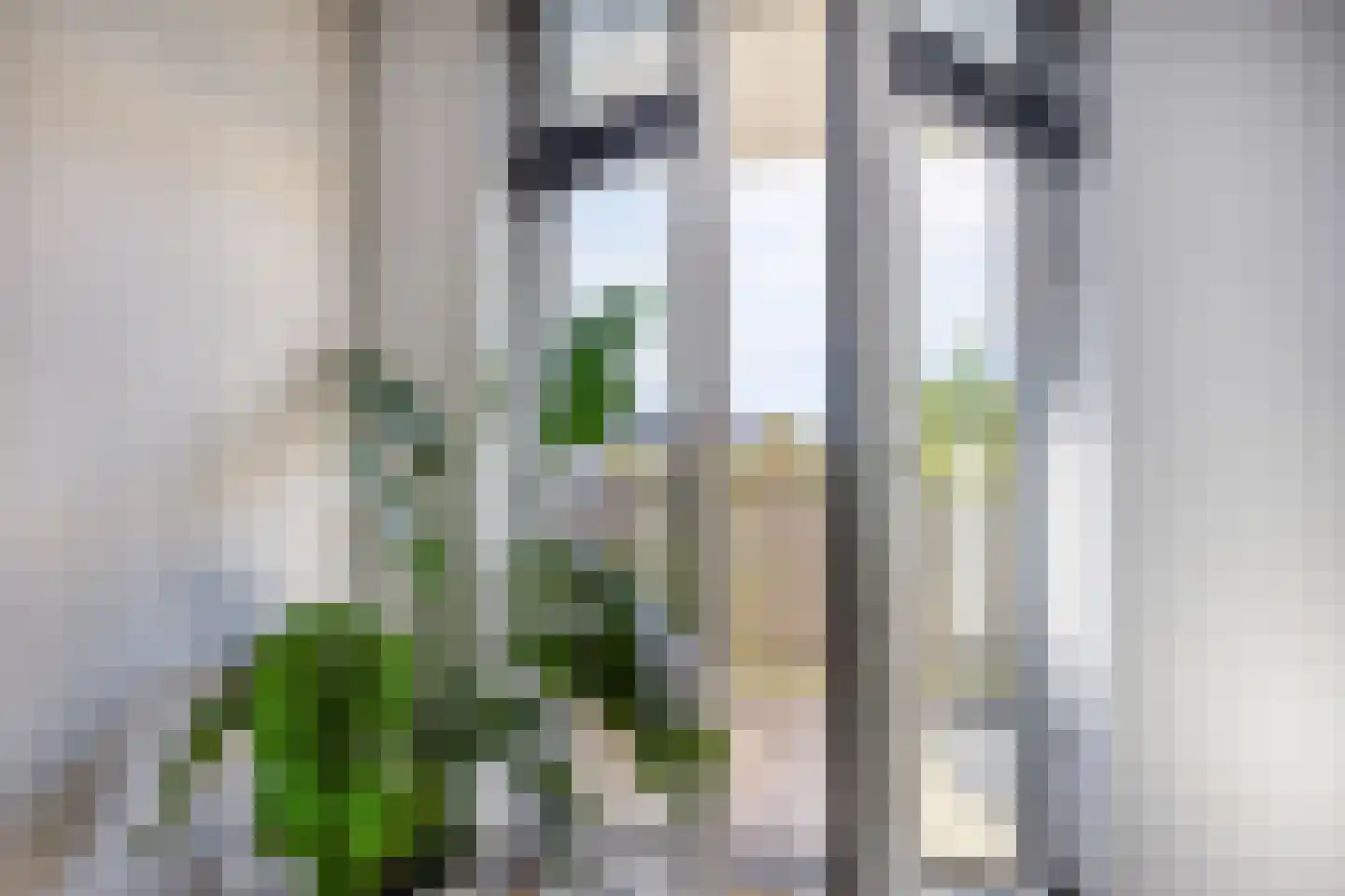 Burgemeester Augustijnstraat 8 Zoetermeer thumbnail 26